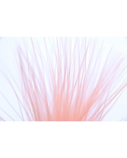 STRUNG MARABOU - coral